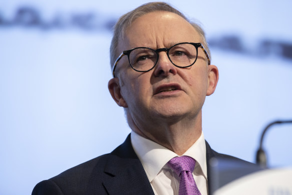 Labor leader Anthony Albanese was the first in his family to go to university. 