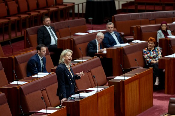Senator Bridget McKenzie during a censure motion against Senator Pauline Hanson on Tuesday. 