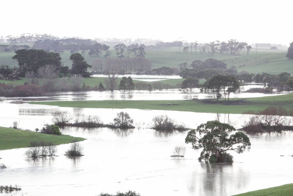 Flooding in supposedly drought stricken Moyne Shire in August.