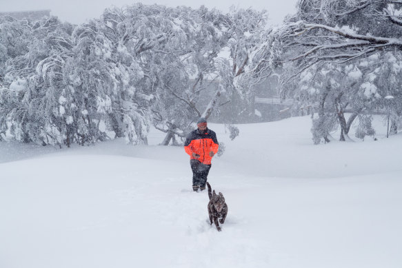 A blizzard smothered Mount Buller all of Friday, bringing about half a metre of snow.