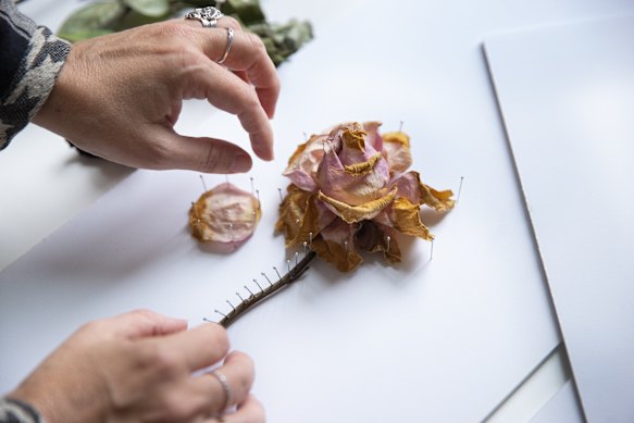 Flower petals as they decay remind Davis of human skin.