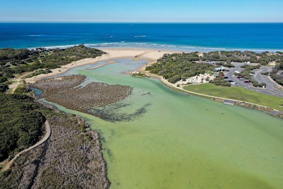 The estuary of the Anglesea River has too much acidity. 