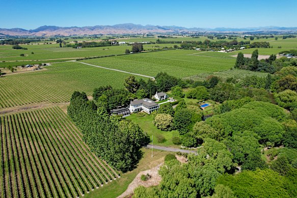 The vineyard at the Marlborough Boutique Hotel.
