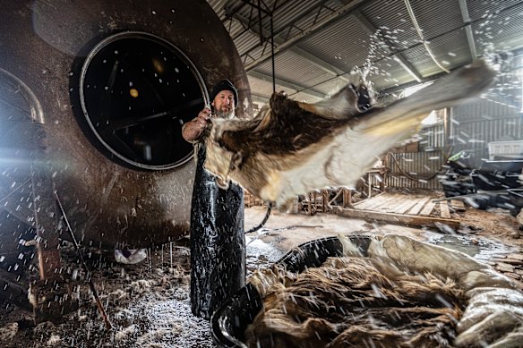 Jason I’Anson retrieves deer skins  from being rinsed in a barrel at Greenhalgh Tannery.