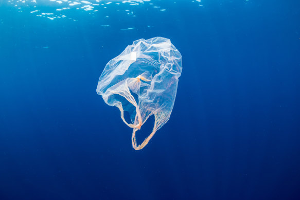 Brands such as Glad say they use ocean or ocean-bound plastic, but they could be using plastic collected from areas up to 50 kilometres from the sea.
