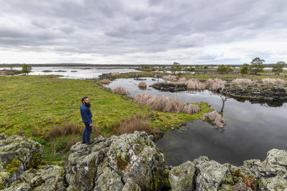The ancient fish weirs at Budj Bim.