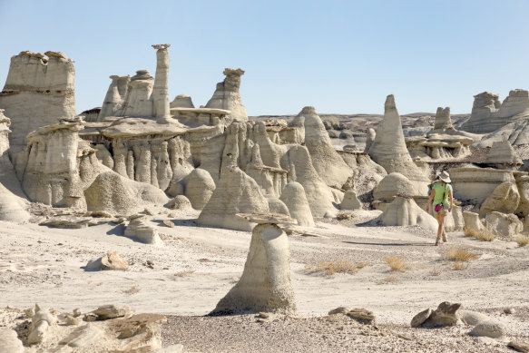  Bisti De-Na-Zin Wilderness badlands.