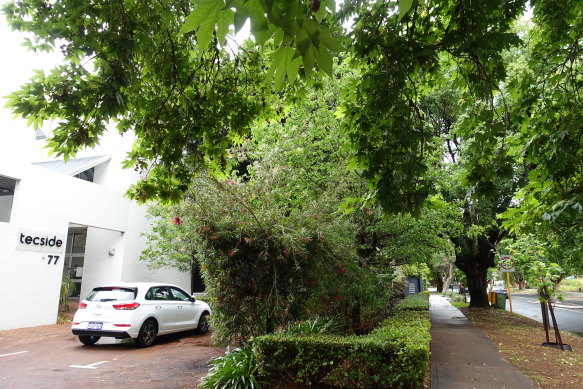 This office’s setback allows for a front garden that provides both privacy to workers and shade for passersby. 