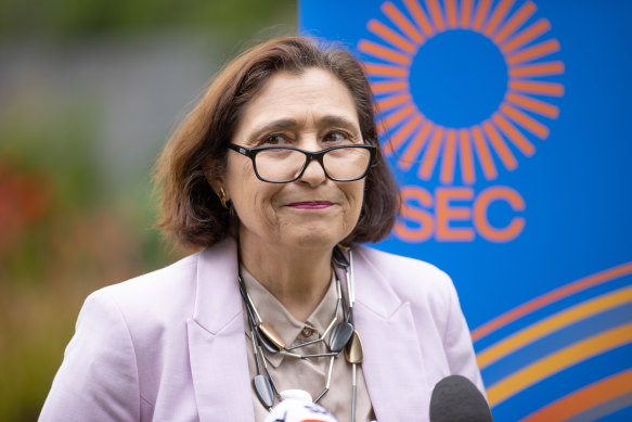 Victorian Energy Minister Lily D’Ambrosio at a press conference in November last year.