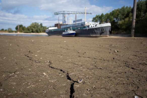 Vessels stranded high and dry on the Rhine near Tolkamer in the Netherlands.