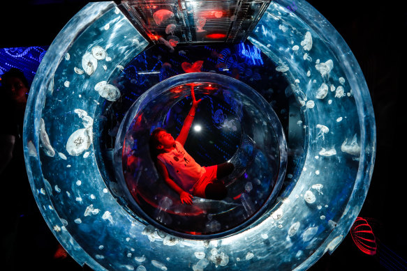 A girl sits inside part of the new jellyfish exhibit at Sea Life.