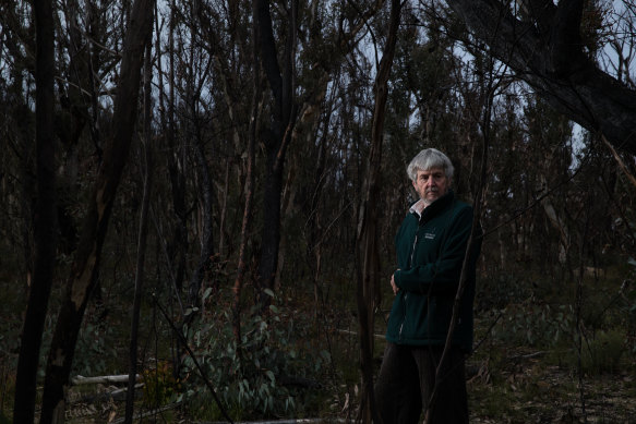 Ian Brown said the bushfire royal commission had yet to focus on the operations of fire agencies.
