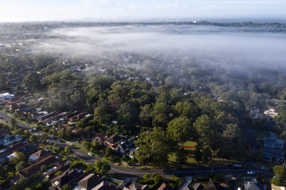 Tree canopy cover, pictured here in Hornsby, plays a crucial role in lowering temperatures in suburbs.