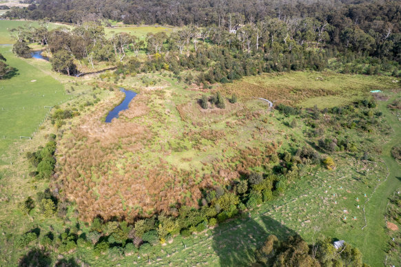 The landscape healing at the Aireys Inlet site. 