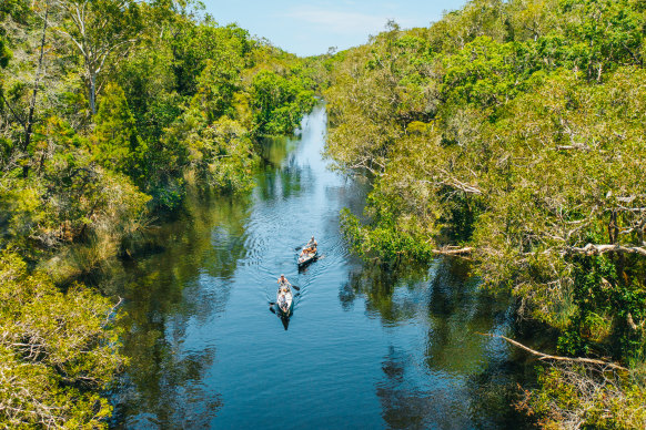 Noosa is home to one of just two everglades in the world.