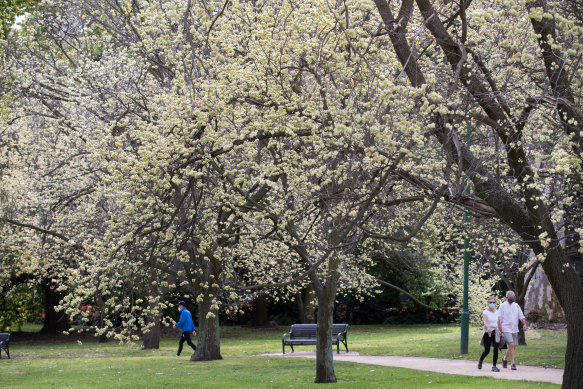 Spring is beginning to bloom in Melbourne.