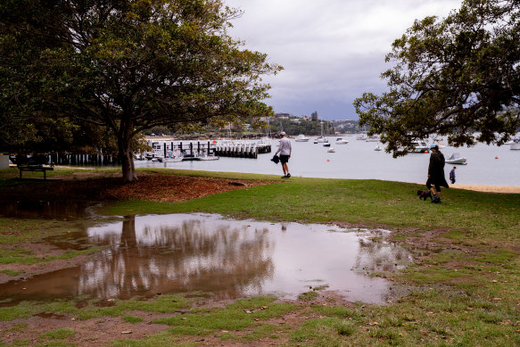 A big puddle in Balmoral after heavy rain overnight.