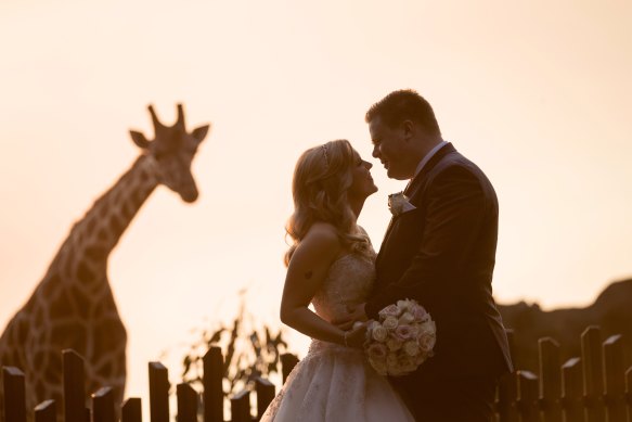 A photo from Andrea and Brendan Oxford’s wedding by photographer Ryan Schembri.
