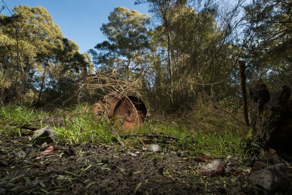 Remnants of the campsite a year on.