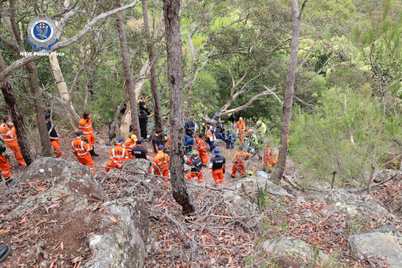 The search took volunteers through dense Wahroonga bushland.