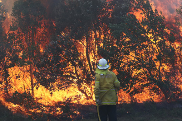 Firefighters battle bushfires in Angourie, northern NSW.