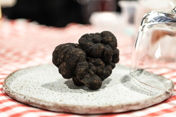 A truffle from Richard and Jane Austin’s farm at the Carriageworks Farmers market.