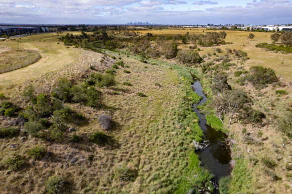 A section of the future marram baba Merri Creek regional parkland, which will be handed back to traditional owners to manage.