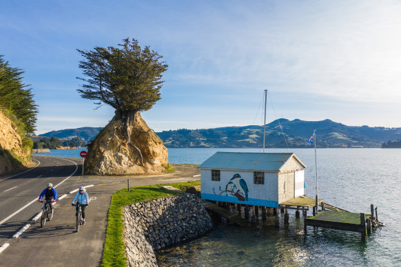 One of New Zealand’s most scenic cycleways.