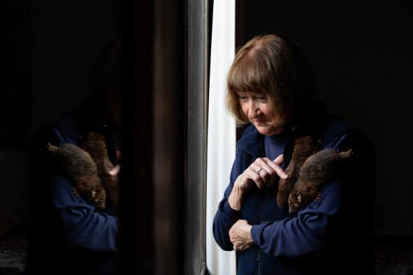 Wildlife rescue carer Glenda Clark nursing two baby possums whose mother was found dead.