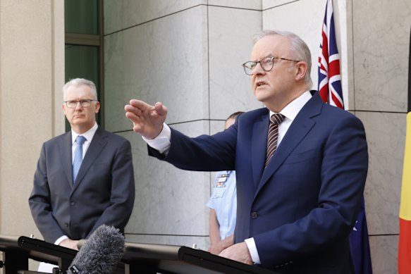 Prime Minister Anthony Albanese announces the gun buyback on Friday.