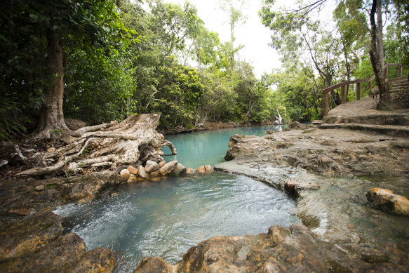 The Cardwell Spa Pool turns a striking blue towards the end of spring.