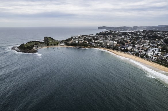 Beaches along the Central Coast could be the first in NSW to get rid of their shark nets.