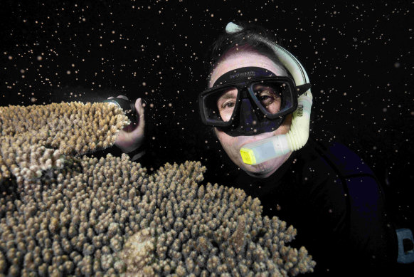 Tim Winton puts his body on the line in the ABC doco <i>Ningaloo Nyinggulu</i>.