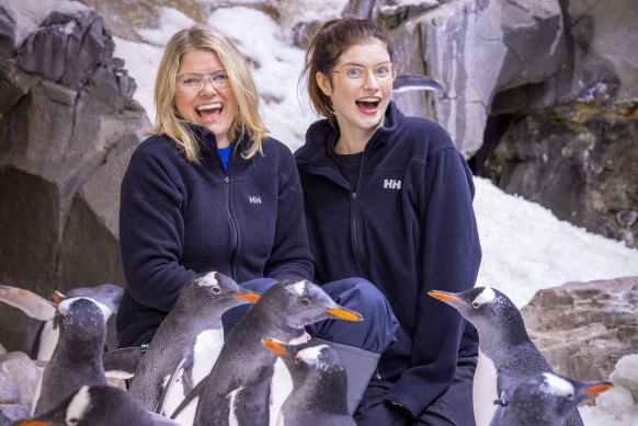 Kate McLennan (left) and Kate McCartney get up close with the penguin’s at SEA LIFE Melbourne Aquarium. 