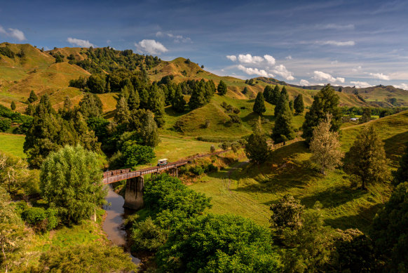 Stunning North Island scenery on the rail-cart journey.