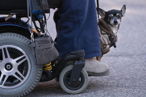 For many people with a disability, the NDIS is a lifeline providing services that can literally mean the difference between life and death.