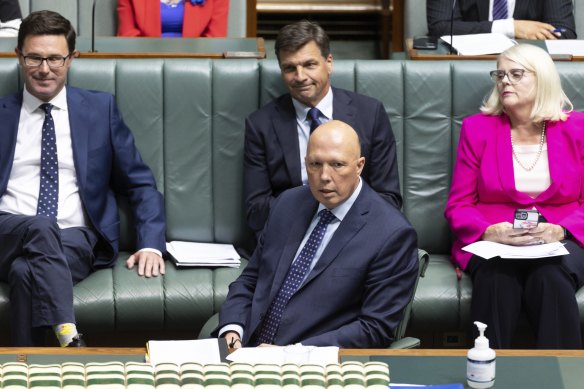 Opposition Leader Peter Dutton today.