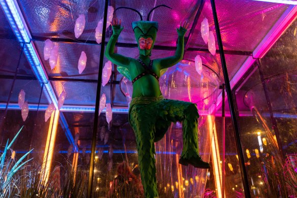 Butterfly House will be staged at the Botanic Gardens next year. 