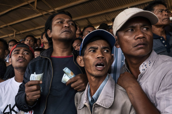 Spectators cheer during a horse race in Bima. Though gambling is illegal in Indonesia, the police are there to stop the occasional scuffles that break out over gambling debts rather than to stop the betting.