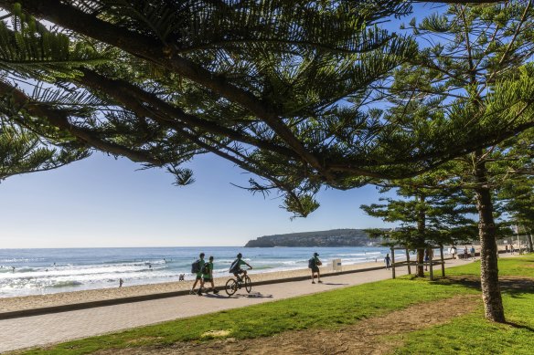Manly Beach topped a Tripadvisor “best of the best” list – but what does it cost to live there?