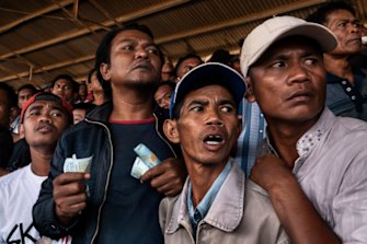 Spectators cheer during a horse race in Bima. Though gambling is illegal in Indonesia, the police are there to stop the occasional scuffles that break out over gambling debts rather than to stop the betting.