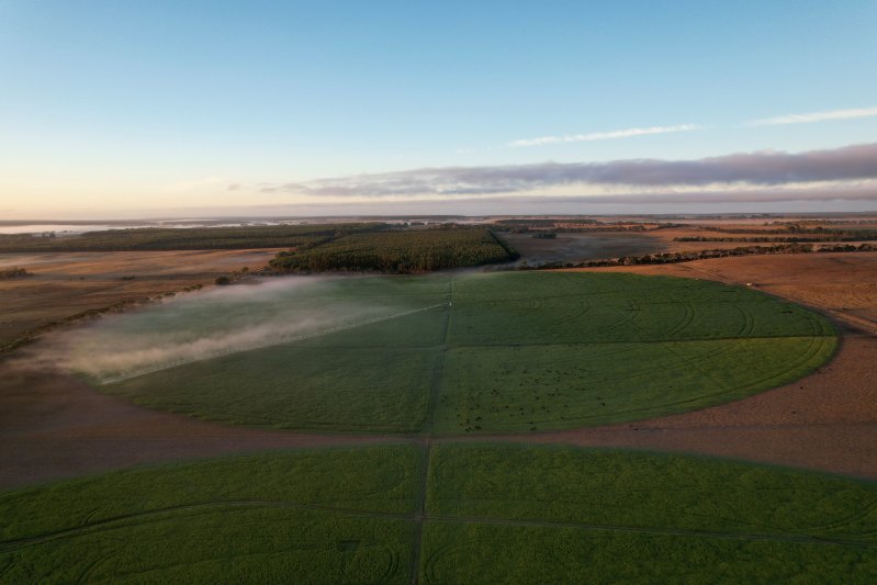 Dunkeld Pastoral’s Condah Hills aggregation is well-irrigated.