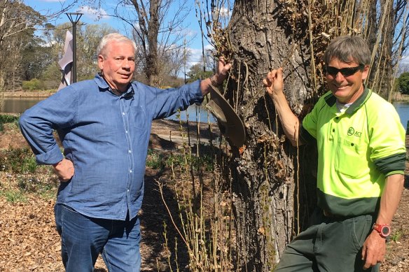 Jerry van Meegen (left) and Andrew Forster (right) at the ‘Rake Tree’ in Commonwealth Park.