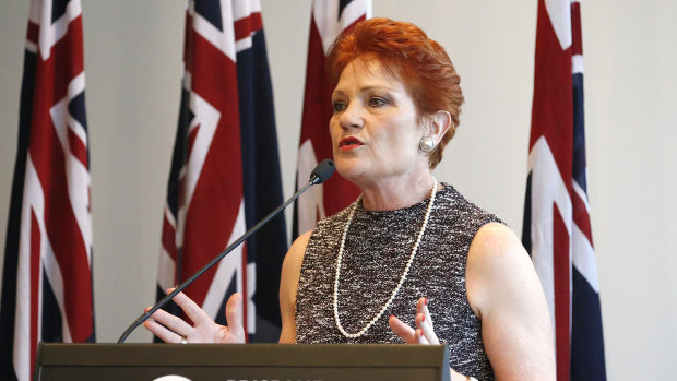 Pauline Hanson said she wanted her party to build a solid foundation for the future of One Nation.