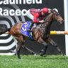 Slipper pressure could be golden key for King’s Gambit