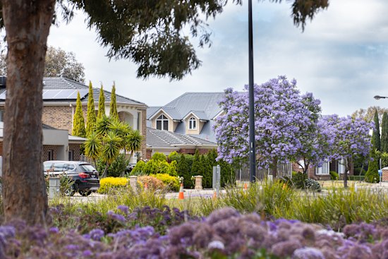 Life in Taylors Hill.