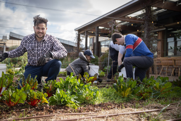 Brickworks’ rooftop community garden.