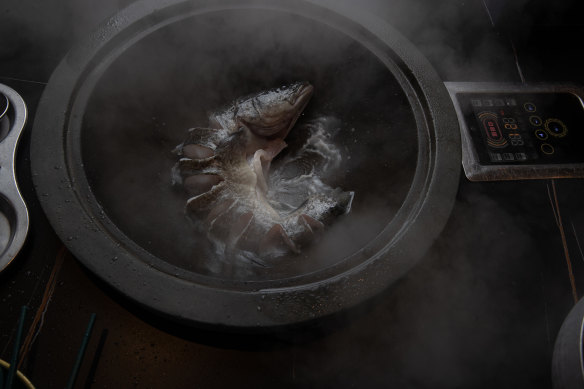 Freshly caught Murray cod being steamed.