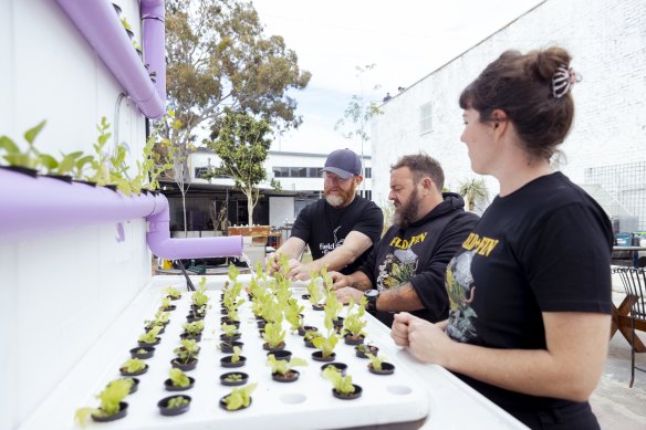 The urban aquaponics farm at Field &amp; Fin.