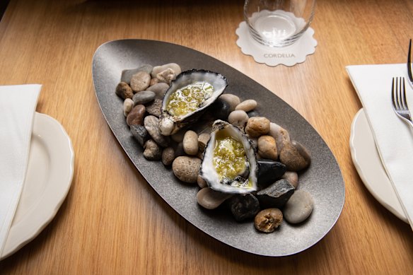 Rock oysters at Cordelia.